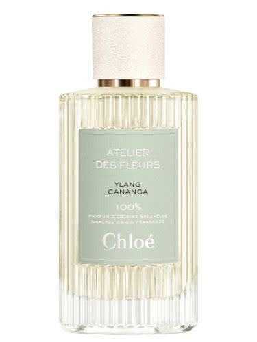 Ylang Cananga Chloé for women and men 